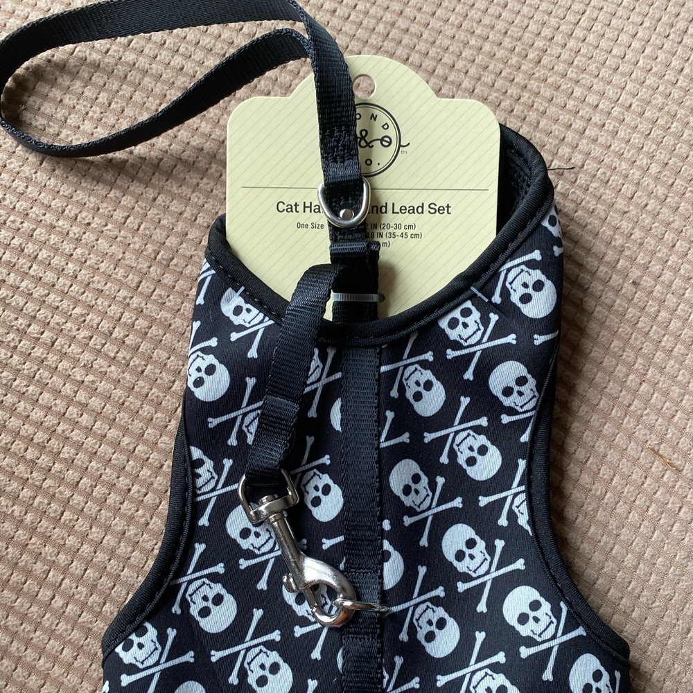 Cat harness and lead set